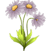 Fleur