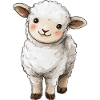 Cute Baby Sheep