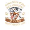 Dogs Rottweiler Dog Lovers