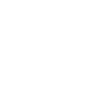 Cheval équitation 