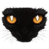 Cat Eyes Cat Eyes