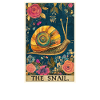 Snails Snail