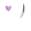 Love, Peace & Lavender