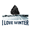I love winter tree with