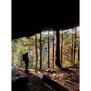 Waldwanderer Naturkunst Design