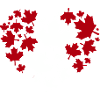 Maple Leaf Heart Pattern