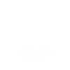 Dynamic Fish Jump Illustration