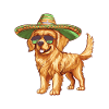 Golden Retriever Chien Sombrero