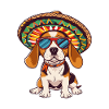 Beagle chien drôle sombrero