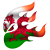 Flag of Wales - Welsh - Ninja