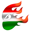 Flag of Hungary - Hungary - Ninja