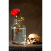 Natura morta di rose e teschio