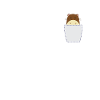 Hamster in breast pocket