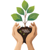 Rooted in Nature – Grow with Care