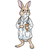 Stéthoscope Bunny Doctor