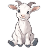 Goat
