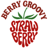 Groovy Strawberry Retro 70s Vibes