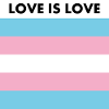 LOVE IS LOVE TRANS flag