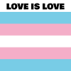 Drapeau LOVE IS LOVE TRANS