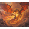 Feuerdrache mit Phönix auf den Wolken
