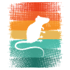 Rat