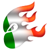 Flag of Ireland - Ireland - Ninja