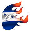 Flag of Honduras - Honduras - Ninja