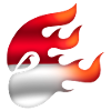 Indonesian Flag - Indonesia - Ninja