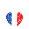 I love France, flag of France