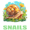 Schnecken Schnecke
