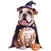Bouledogue anglais Halloween