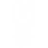 White Rabbit Skull