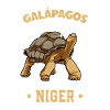 Galapagos Giant Tortoise