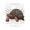 Aldabra Giant Tortoise