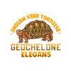 Star Tortoise