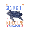 Tortue luth