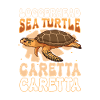 Loggerhead sea turtle