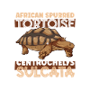spurred tortoise