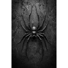 Black Widow Style Spider Art