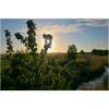 Rogowo wild meadows, sunset, lake