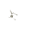 Martial Heartbeat