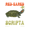 Red-eared Turtle