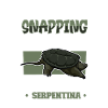 Snapping Turtle