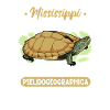 Mississippi Mute Turtle