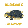 Terrapin
