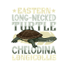 Flat-backed tortoise
