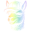 Lama
