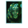 Serpents Serpent