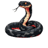 Serpents Serpent