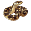 Snakes Snake